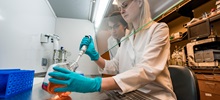 Two Students in a Biomedical Engineering Lab.