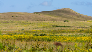 Expansive grass prairie with rolling hills, under a clear blue sky.