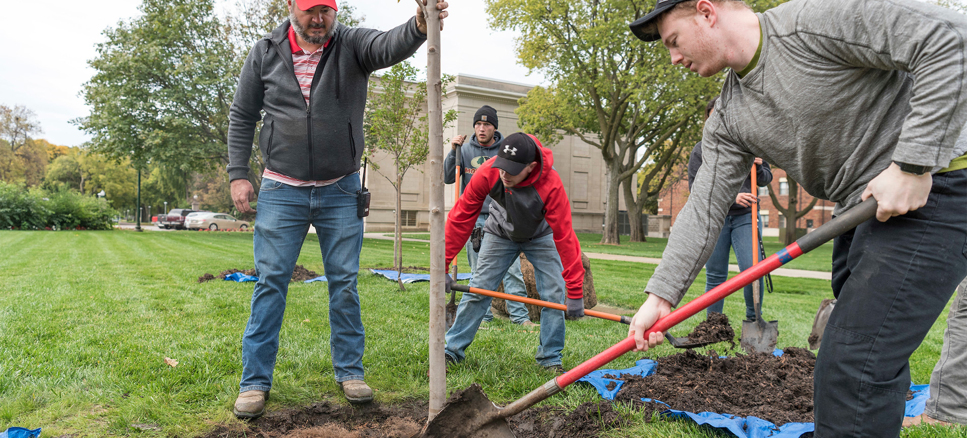 Students and facilities planting a tree.