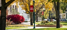 Campus Trees with Fall Colors.