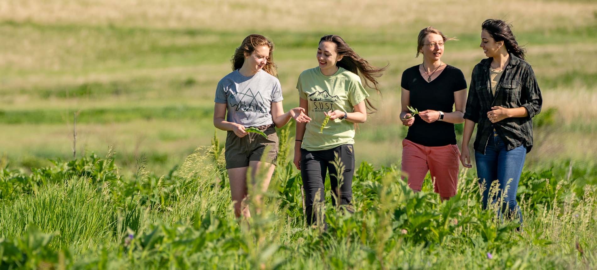 Sustainability students conducting field research.