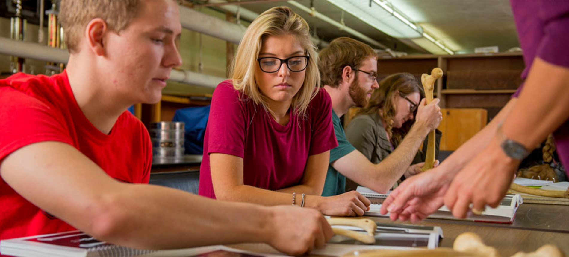 USD Students in the Archaeology Laboratory.