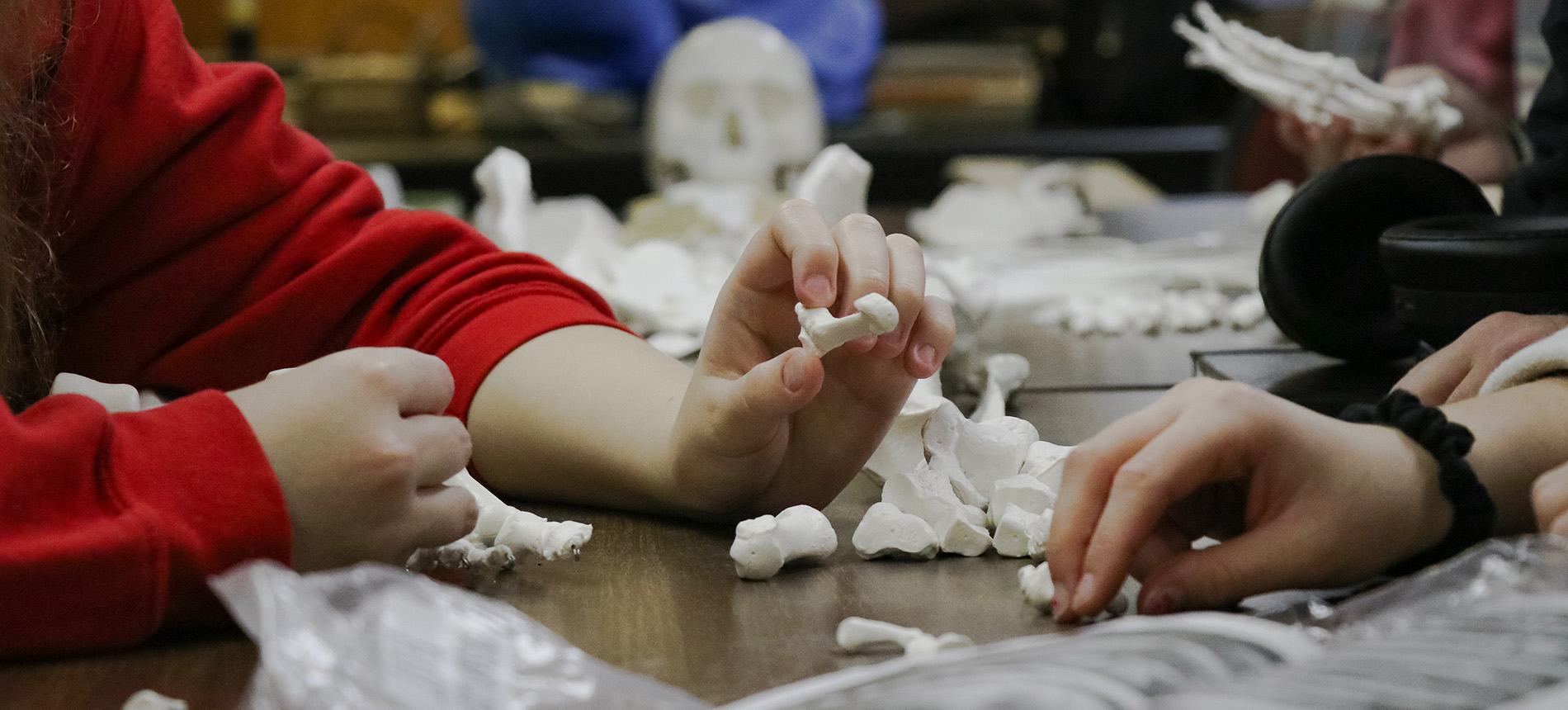 students holding bones in a lab setting