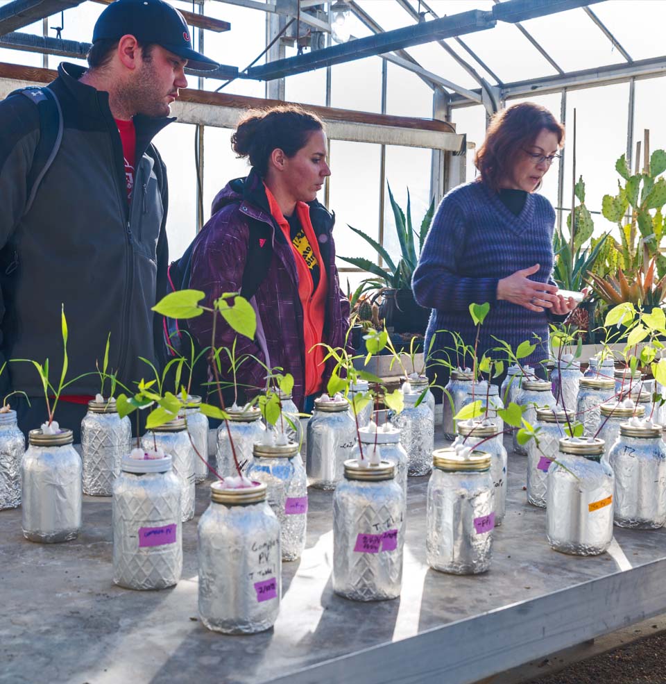 Biology faculty and students inspecting plants in a greenhouse