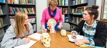 Faculty standing over half of a mannequin head explaining the inside of the head to two students who are sitting at the table taking notes