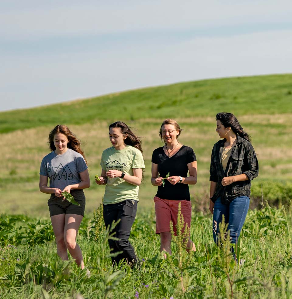 Students walking through a field of prairie grasses