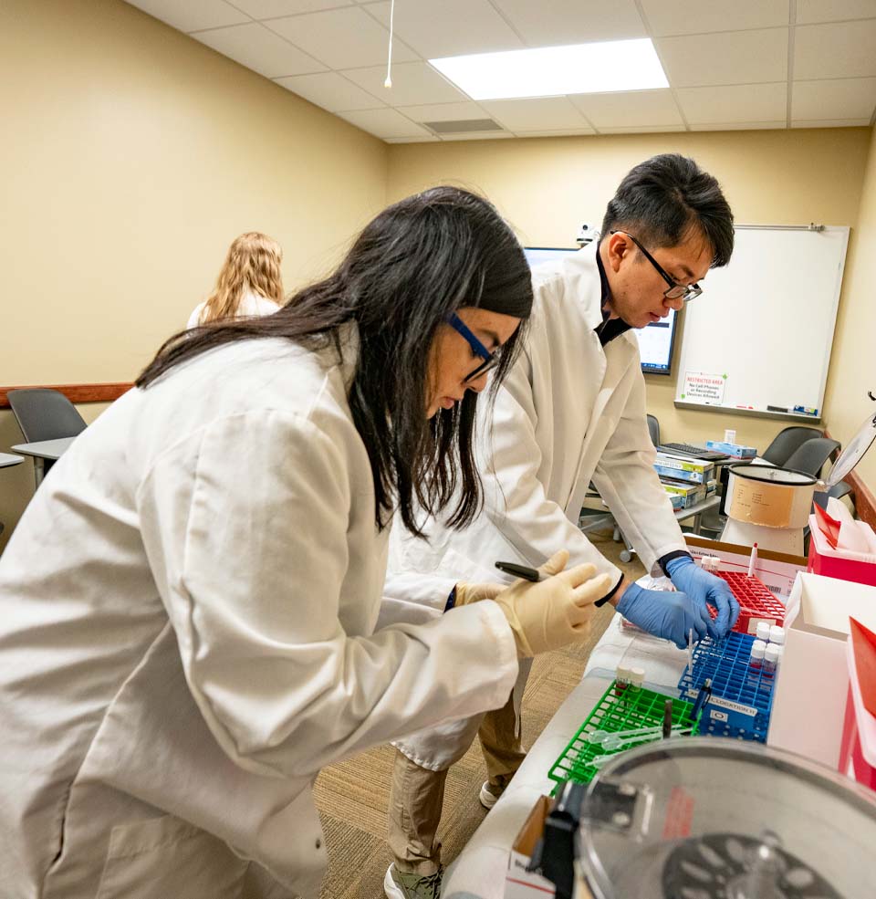 Two Students Working in a Medical Laboratory.