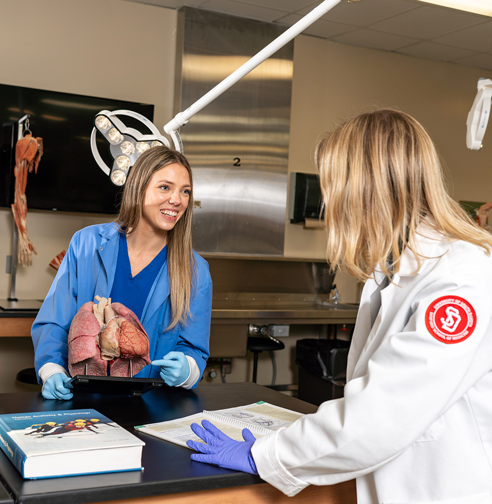 Student studying with teacher and pointing at anatomical heart.