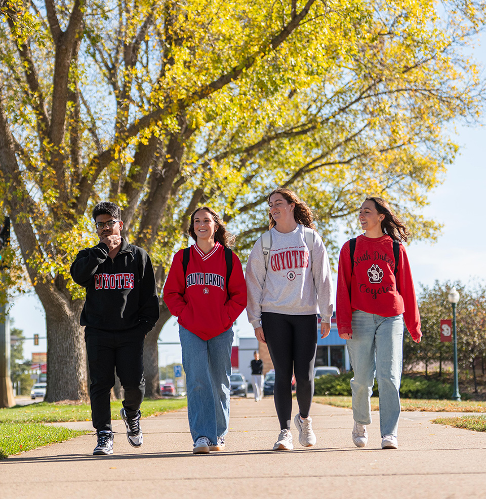 Students walking and talking on USD Vermillion Campus.