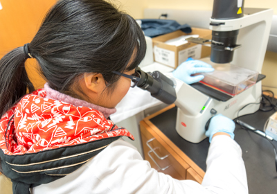 A student looking into a microscope.
