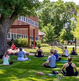 Group of Individuals Doing Yoga on Campus Lawn.