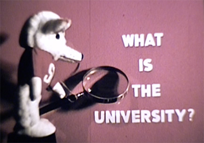 Charlie coyote with text that says what is the university?