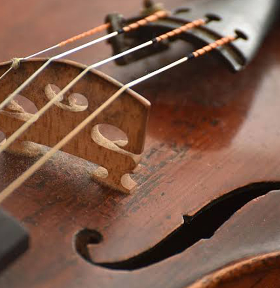 close up photo of violin strings