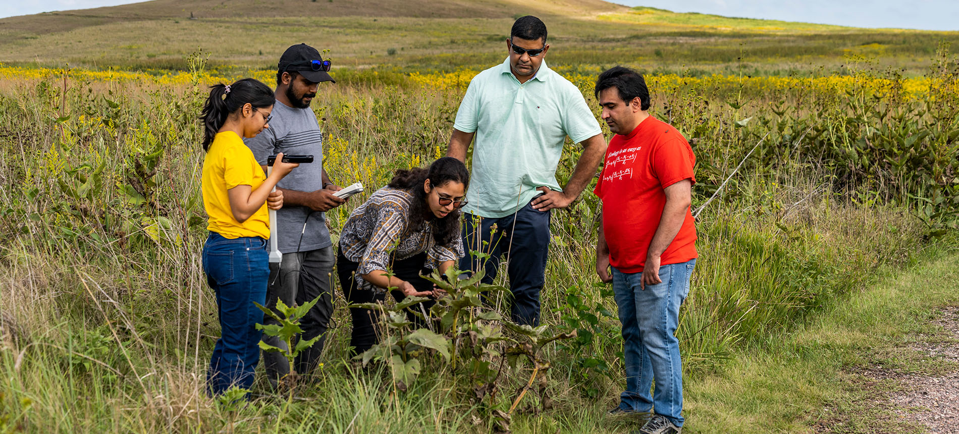 Faculty and students examining plants in the outdoors