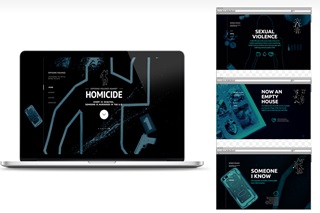 A USD student's graphic design showcase.