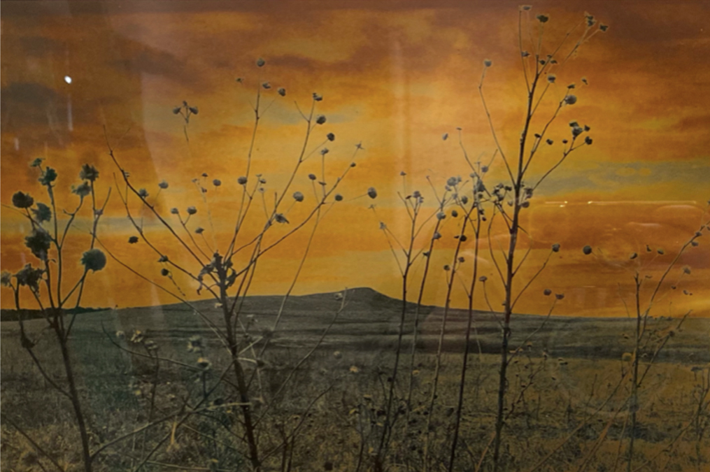 USD Student photography pieces.