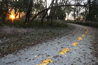 A USD Student's sculpture creation.