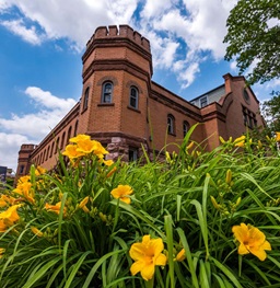 Yellow Flowers Outside the Belbas Center Building