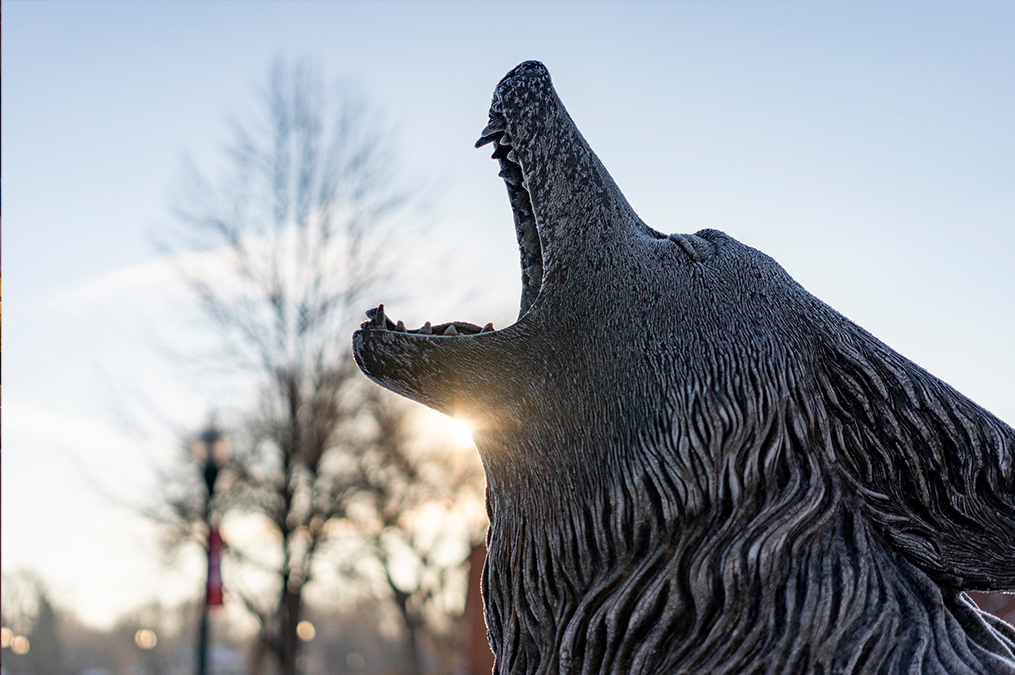 Close up photo of Legacy, the Coyote sculpture by alumnus Cameron Stalheim