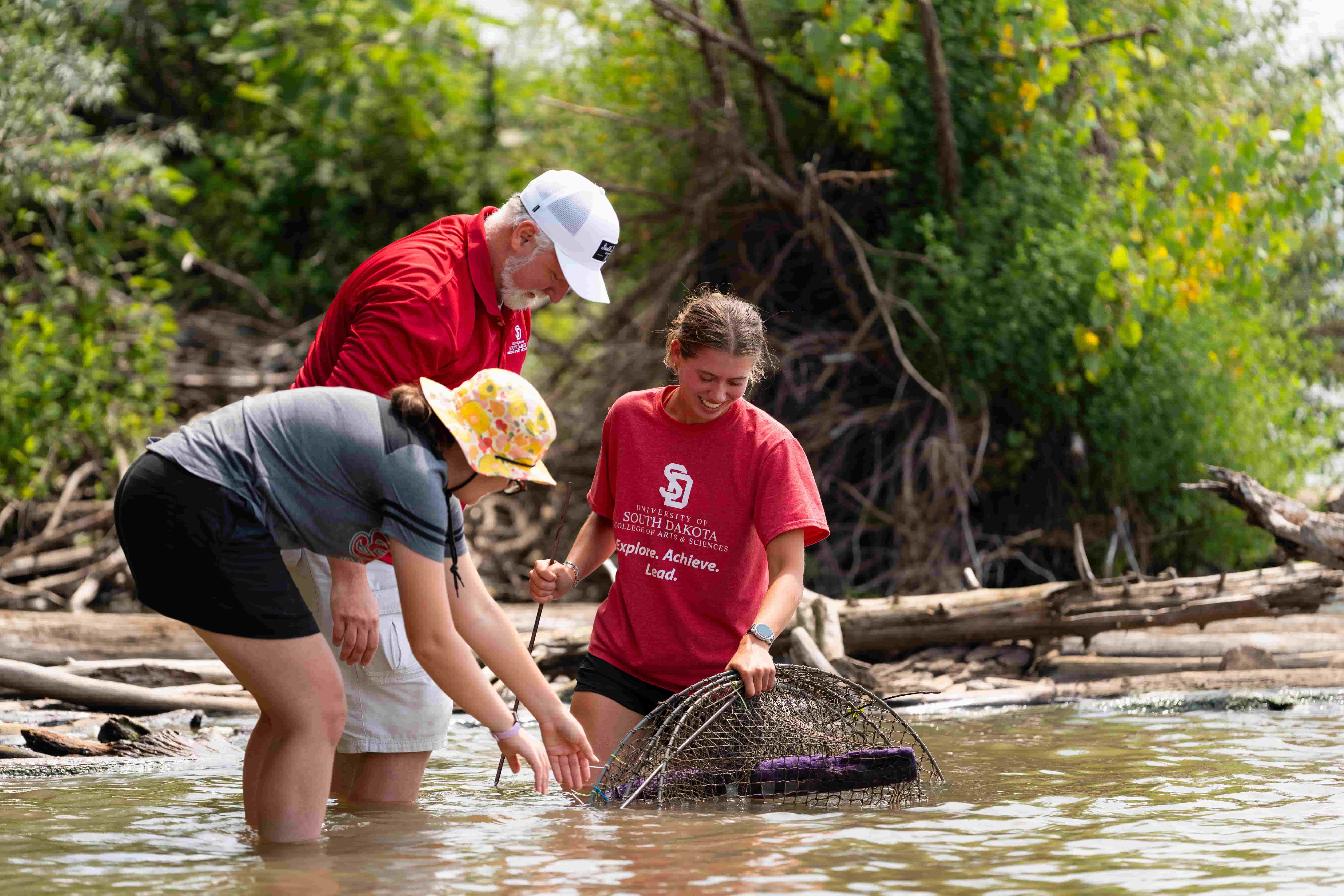 Three people wade in a shallow creek and explore with a dip net, surrounded by green trees and fallen logs in a sunny, hands-on outdoor scene.