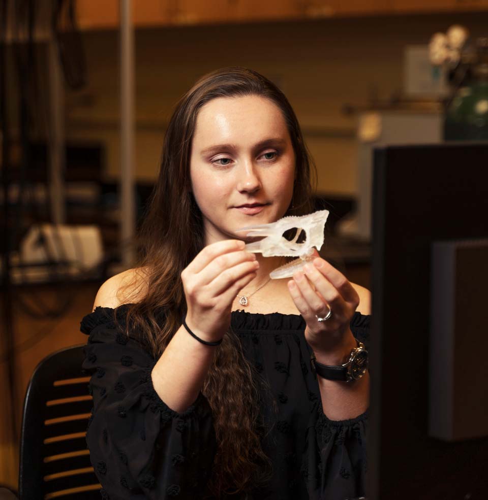 Female Research Student with 3D Printed Chameleon Skull