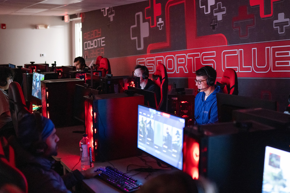 Esports players on computers.