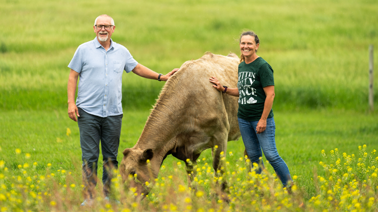 Jeff and Nancy Kirstein stand in a green grass field and pet a cow.