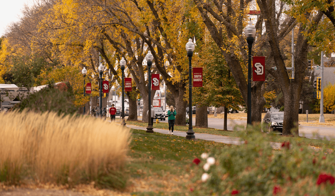 Students walk through autumn leaves and fall trees on the USD campus, with light poles and USD banners in the foreground.