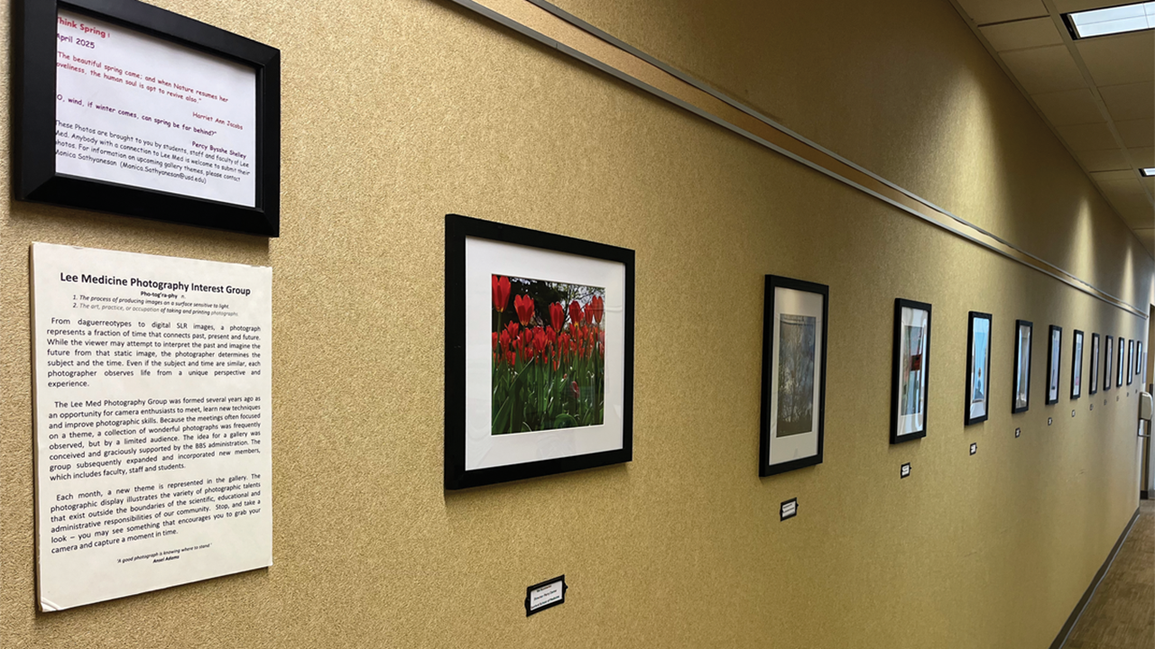 The Andrew E. Lee Memorial Medicine and Science Building photography wall, courtesy of the Lee Medicine photography interest group.