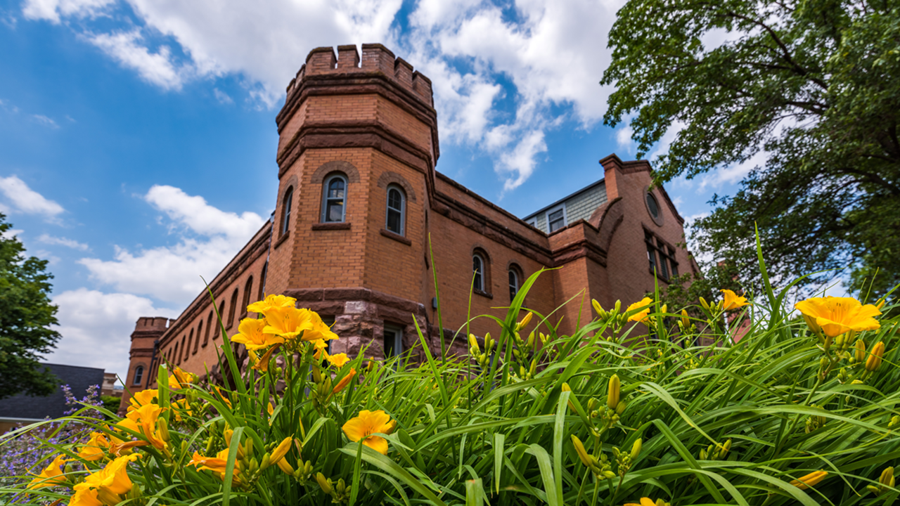 The Belbas Center sits in front of beautiful, yellow tulips on a spring day.