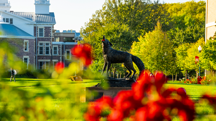 Red flowers on the USD campus sit in the foreground, with the Coyote Legacy Statue in the background.