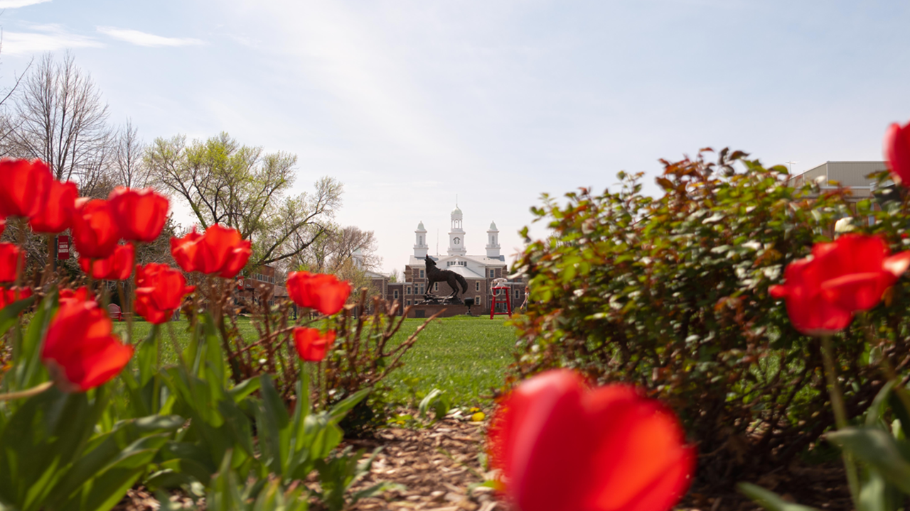 The Legacy Statue is seen through bright red tulips.