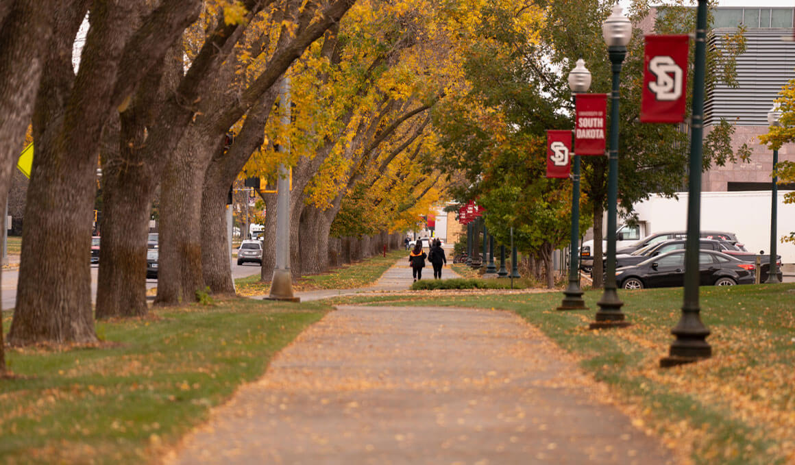 A walking path on the USD campus is lined by trees, portraying fall colors through their leaves, and light poles with the USD red banner. Students can be seen in the distant background and fallen leaves can be found on the walking path.