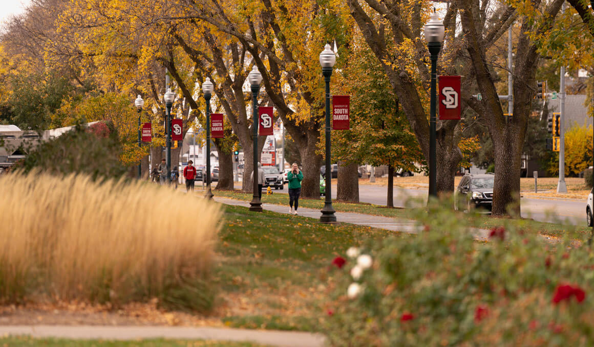 This photo shows a walking path on the USD campus that is lined with lamp posts that have USD banners attached to them, along with fall trees, bushes and flowers. Students are also walking along the path. A street with parked cars and stop lights can be seen in the background.
