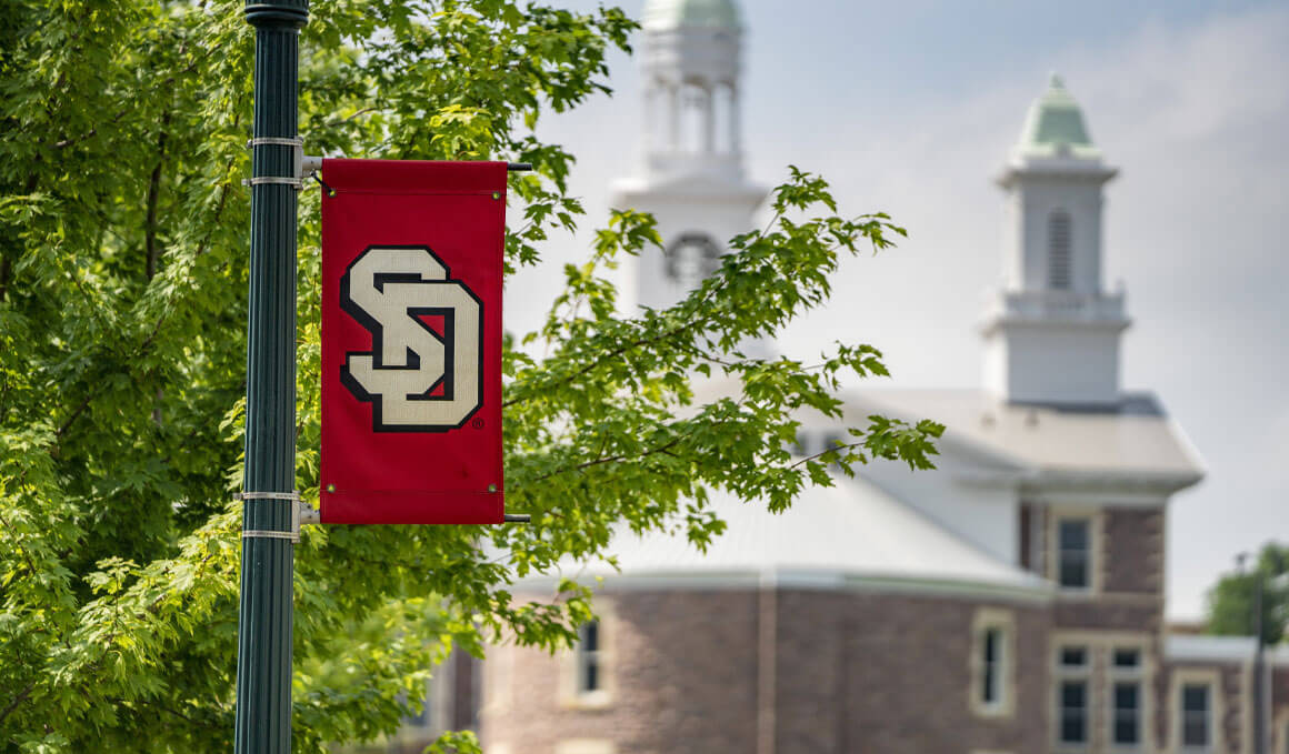 A red USD banner is attached to a green light pole. There is a green tree located directly behind it and Old Main is visible in the background.
