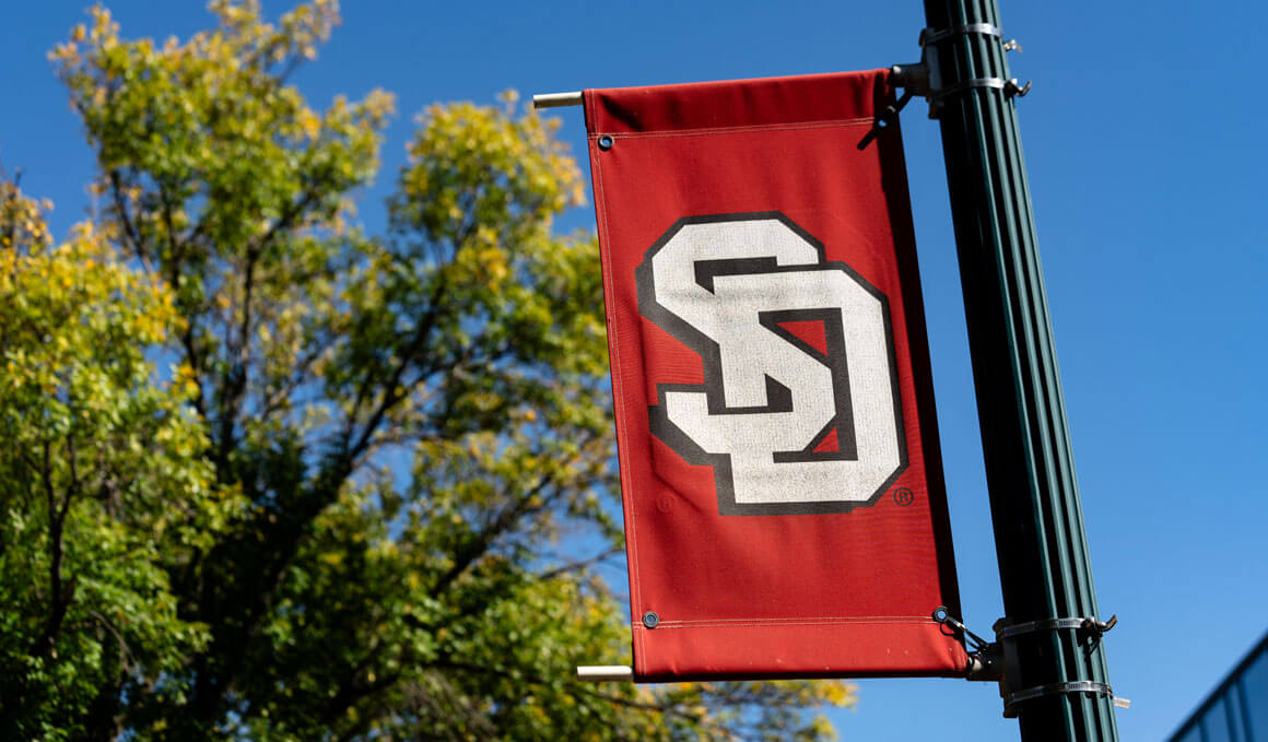 A red flag with a white USD logo is attached to a lightpole, with green treetops in the background and a blue sky.