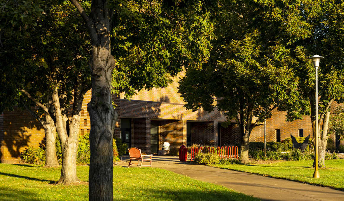 A sunlit brick building on a leafy campus with trees casting shadows over a grassy lawn, curved walkway, bench, bike rack and lamppost.