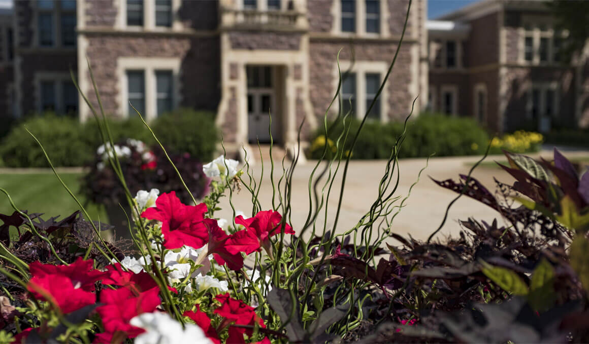 Red and white spring flowers sit in front of a building on the USD campus. 