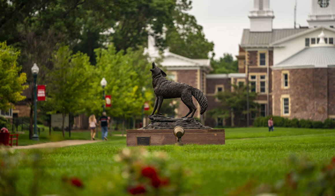 The Coyote Legacy statue sits on a sunny USD campus, surrounded by green grass and trees. Old Main is in the background and flowers are in the foreground.
