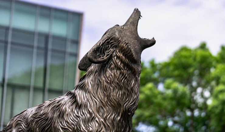 The Coyote Legacy statue sits on a partly cloudy USD campus, with a green tree and the Muenster University Center are visible in the background in addition to the cloudy sky.