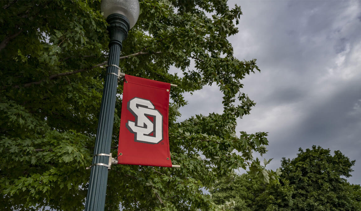 The image shows a light pole, with a red USD banner attached to it. The banner has the USD logo in white. In the background are green treetops with an overcast, blue-gray sky.