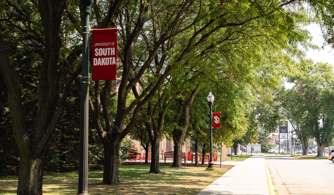 A photo of the USD campus with lightpoles that have branded USD banners attached to them. There are bright green trees surrounding them, with a sidewalk and street in the foreground.