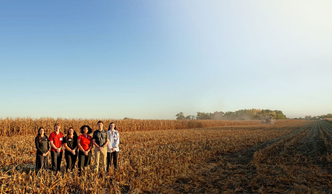 USD students, dressed in their USD attire, stand in a harvested cornfield, with farmland stretching into the distance under a clear sky, with a combine in the background.
