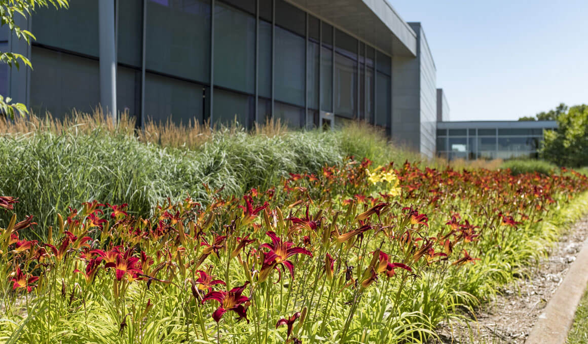 A side profile of the MUC at USD on a sunny day, with flowers and green plants in front of the building.
