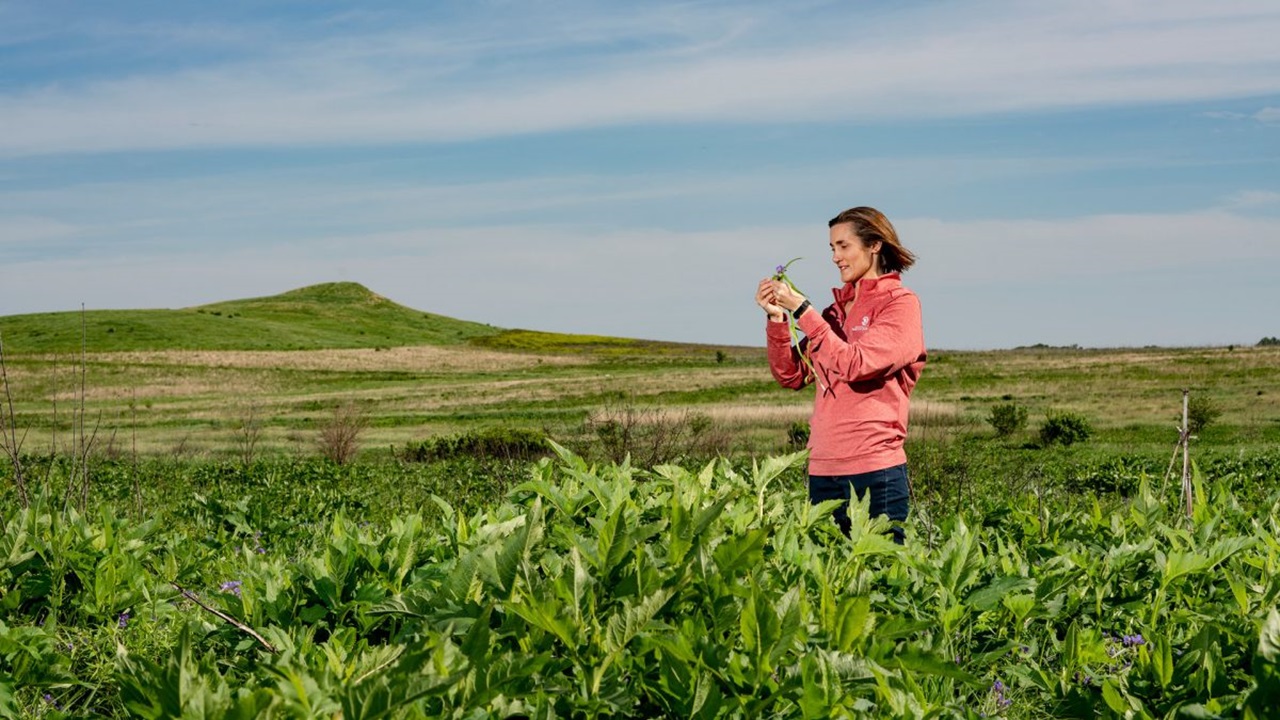 Meghann Jarchow stands in a field of green plants. She is observing one of them in her hand.