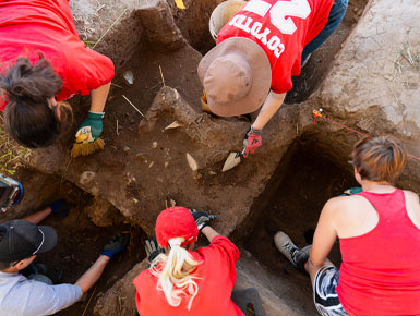 A group of USD Archaeology Field School students work together as a group to unearth artifacts. Some students are laying down, while others are standing in knee-deep holes. All are using tools to uncover artifacts.