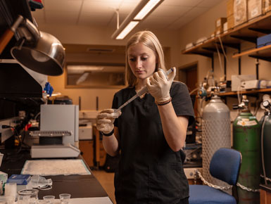 Tiffany Knecht uses a dropper to extract something out of a dish in the lab.